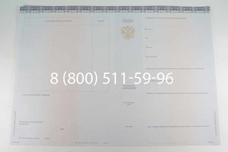 Диплом бакалавра (Киржач) 2014-2024 года в Нижнем Тагиле Диплом бакалавра (Киржач) 2014-2024 года в Нижнем Тагиле