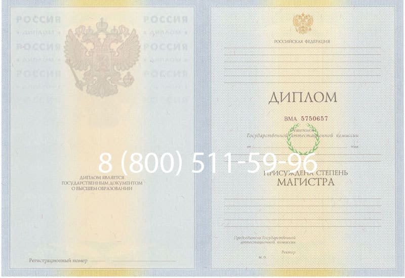 Купить Диплом магистра 2010-2011 годов в Нижнем Тагиле