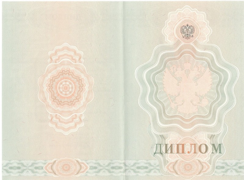Купить Диплом о начальном образовании 2007-2009 годов в Нижнем Тагиле Купить Диплом о начальном образовании 2007-2009 годов в Нижнем Тагиле