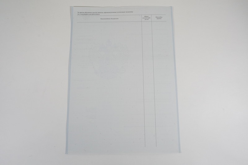 Диплом о начальном образовании 2007-2009 годов в Нижнем Тагиле Диплом о начальном образовании 2007-2009 годов в Нижнем Тагиле