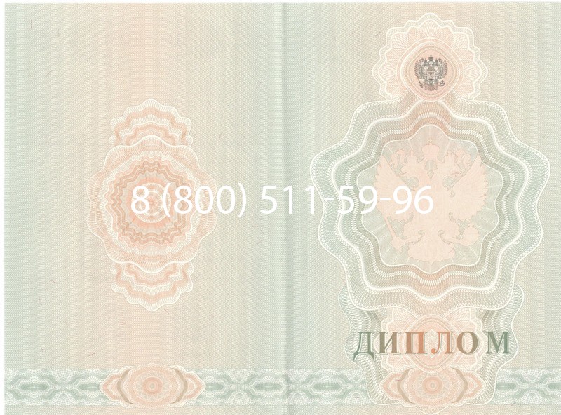Купить Диплом ПТУ 2007-2010 годов в Нижнем Тагиле
